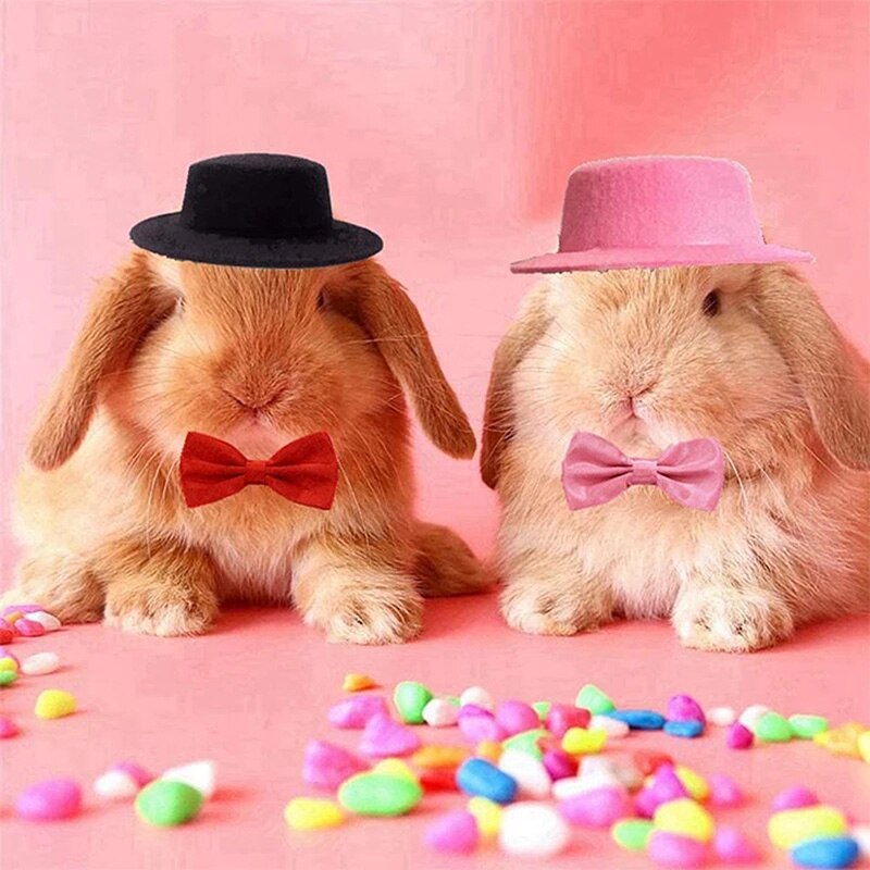 Small Hamster Hat and Bowtie