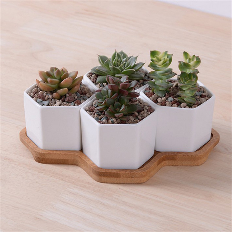 Small Planters Succulent Pots Set (4pcs)