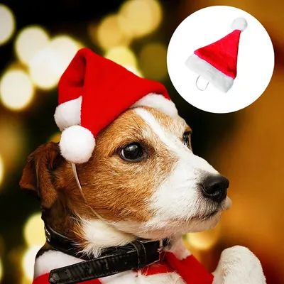 Small Plush Santa Hat for Pets