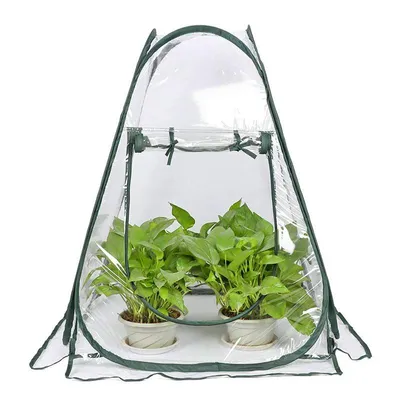 Small Pop Up Greenhouse with Nails