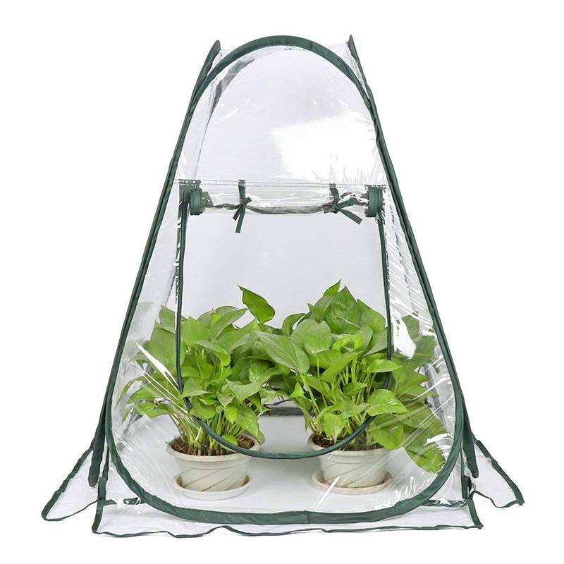 Small Pop Up Greenhouse with Nails
