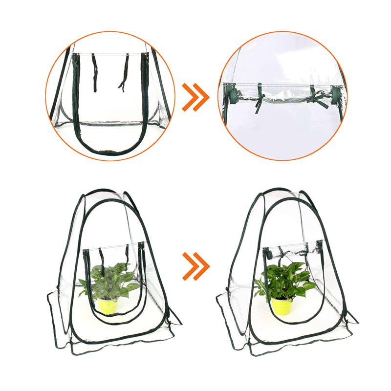 Small Pop Up Greenhouse with Nails