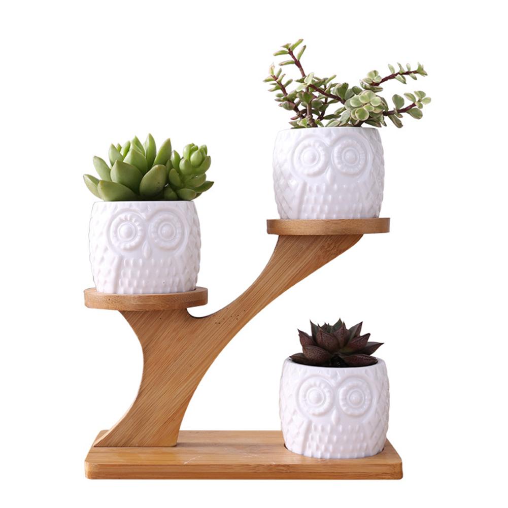 Small Succulent Pots Holder Set Small Succulent Pots Holder Set