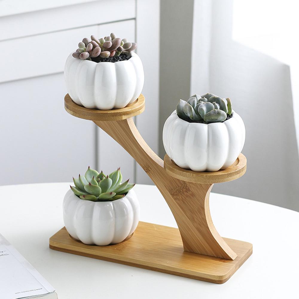 Small Succulent Pots Holder Set