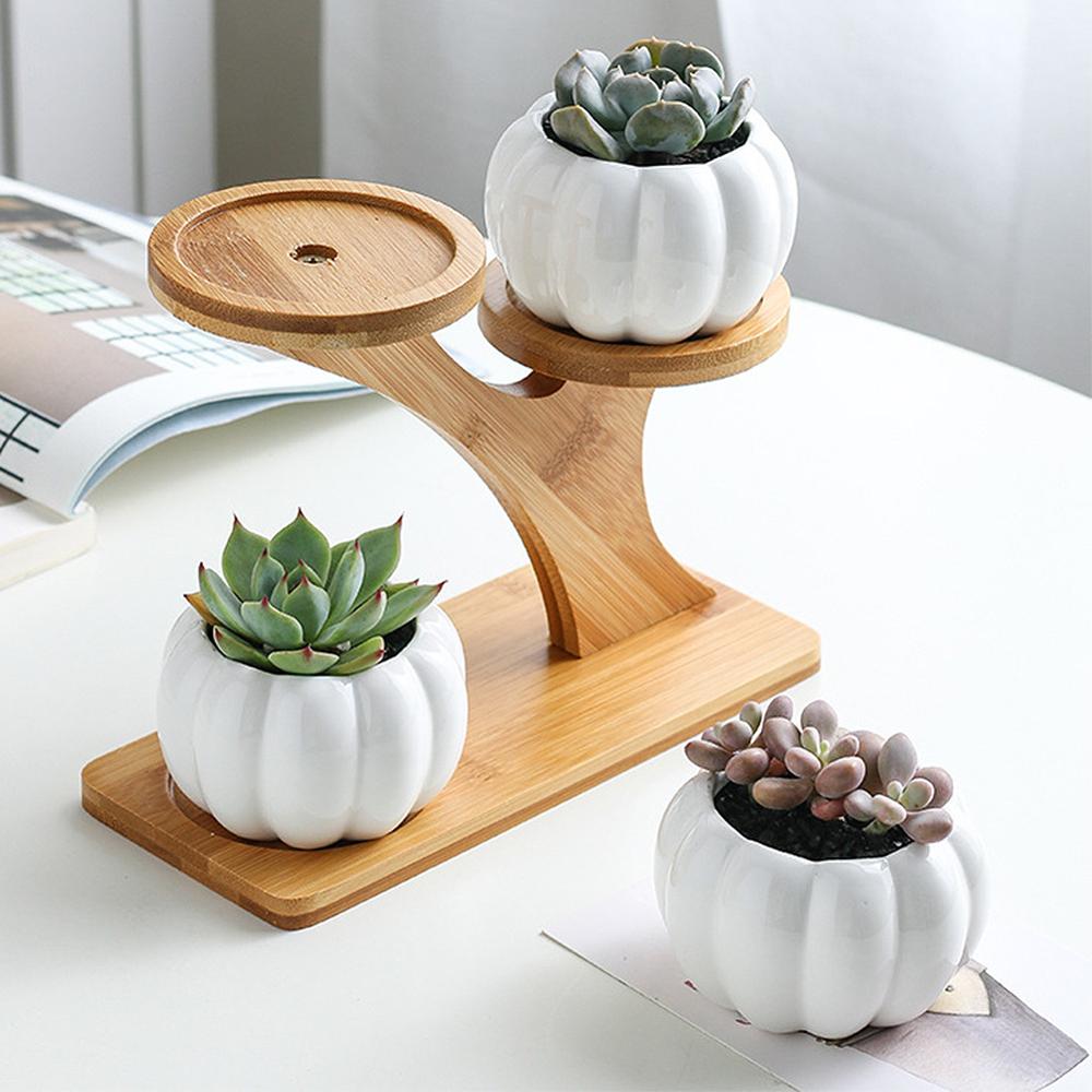 Small Succulent Pots Holder Set