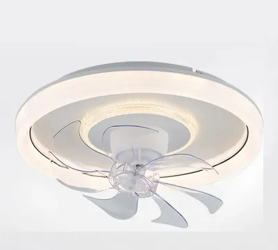 Smart Ceiling Fan Fans With Lights Remote Control Bedroom Decor Ventilator Lamp 48cm Air Invisible Blades Retractable