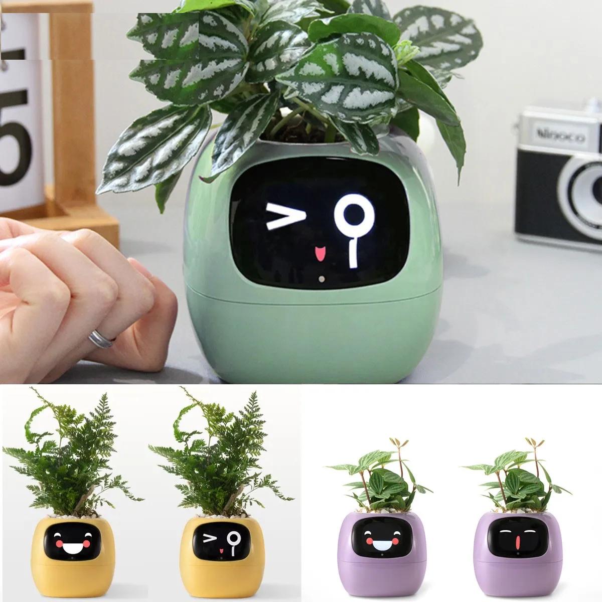 Smart Planter Endless Fun Over 49 Rich Expressions 7 Smart Sensors AI Chips Make Raising Plants Easy and Fun