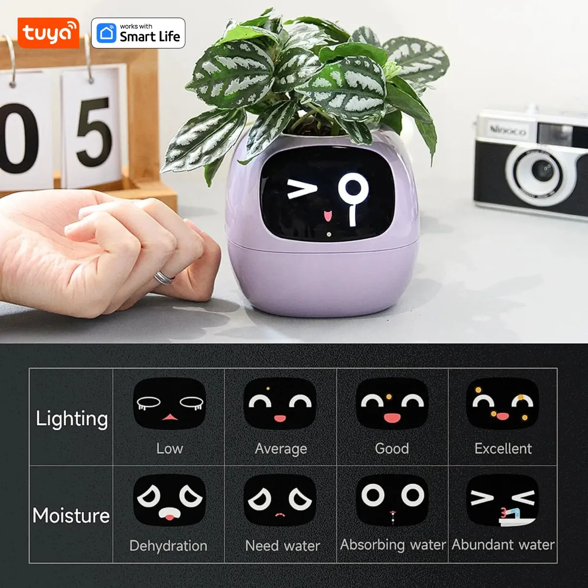 Smart Planter Endless Fun Over 49 Rich Expressions 7 Smart Sensors AI Chips Make Raising Plants Easy and Fun Smart Planter Endless Fun Over 49 Rich Expressions 7 Smart Sensors AI Chips Make Raising Plants Easy and Fun
