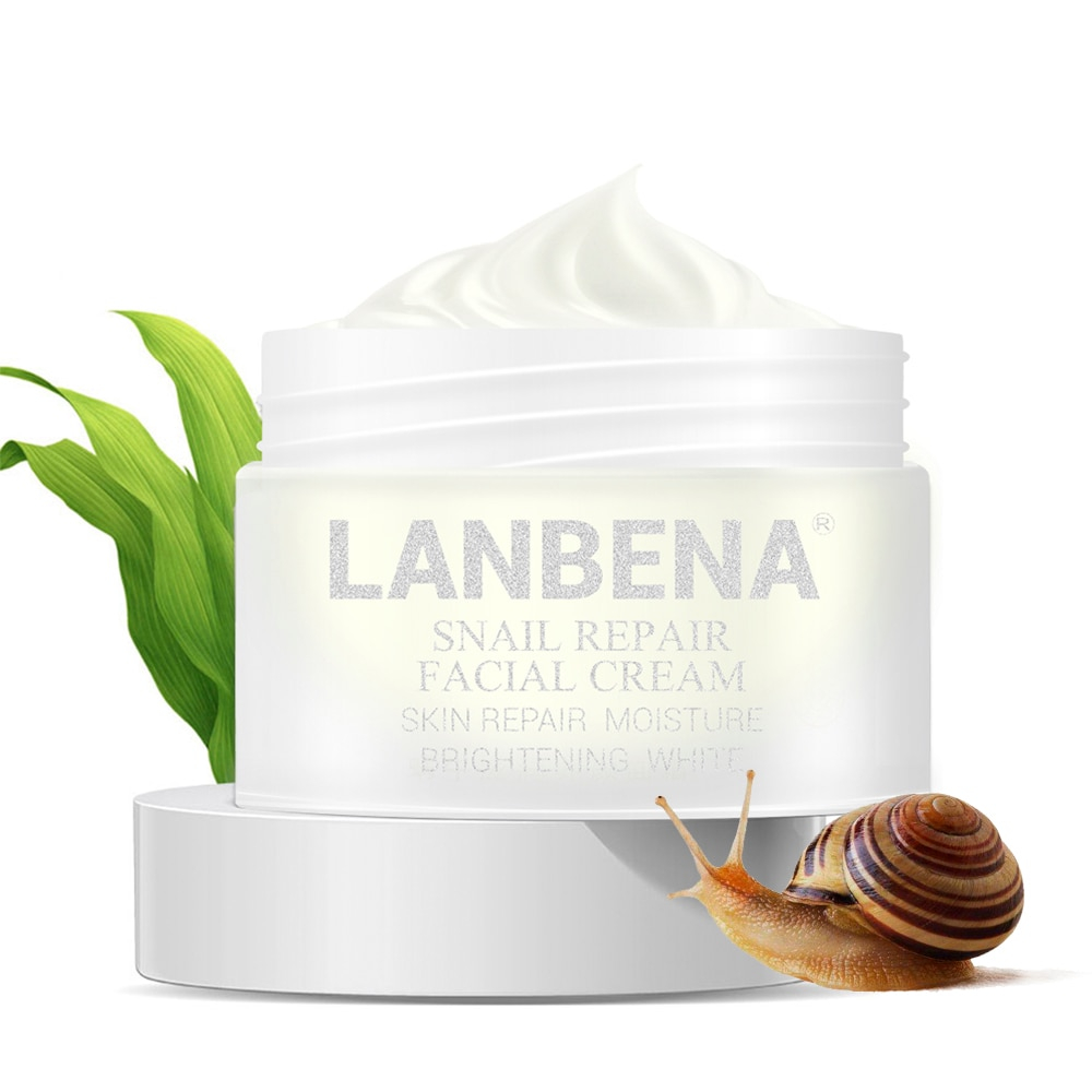 Snail Face Cream Anti-Aging Skincare Snail Face Cream Anti-Aging Skincare
