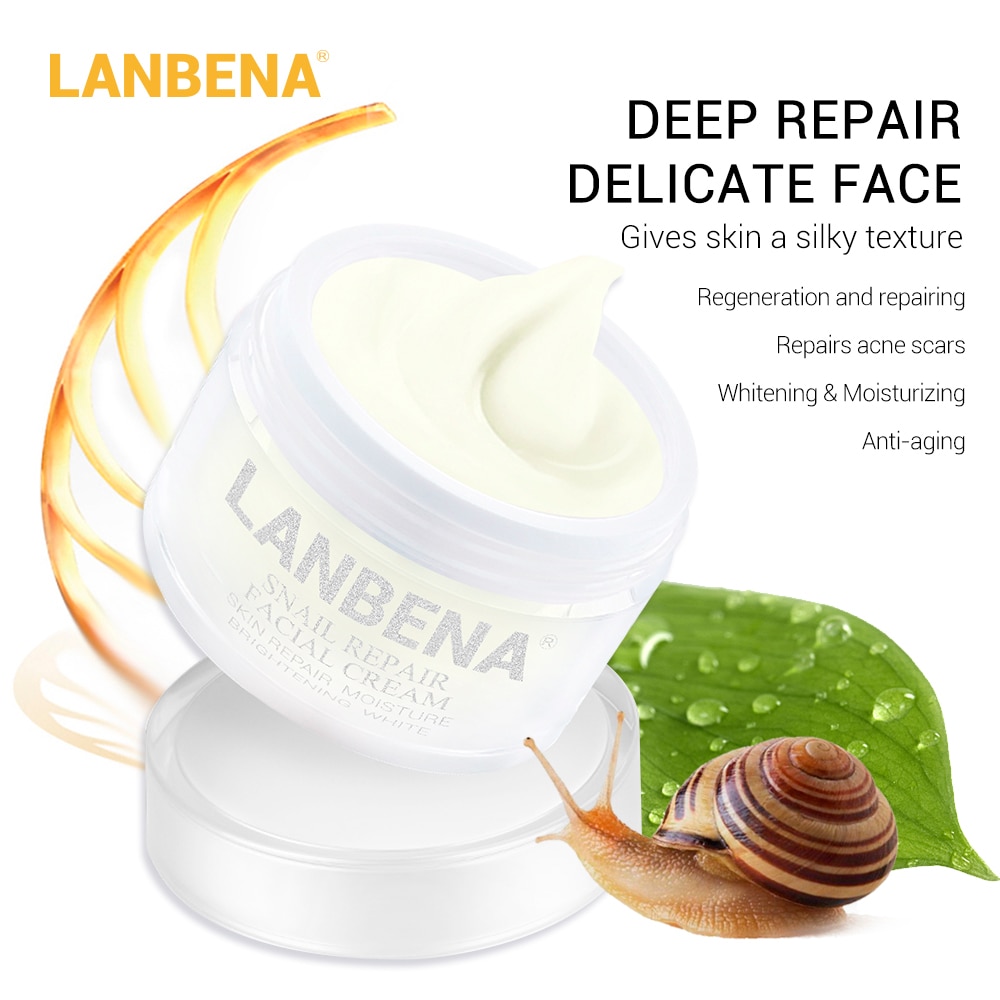 Snail Face Cream Anti-Aging Skincare Snail Face Cream Anti-Aging Skincare