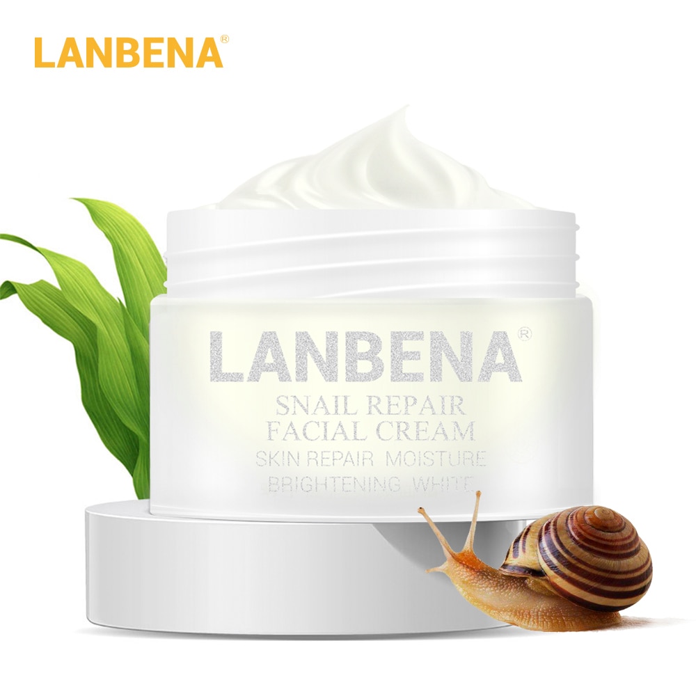 Snail Face Cream Anti-Aging Skincare Snail Face Cream Anti-Aging Skincare