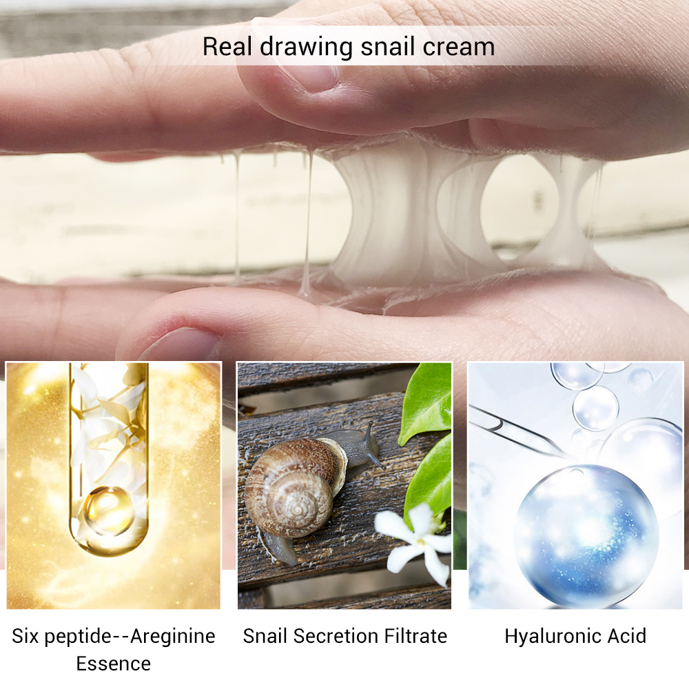 Snail Face Cream Anti-Aging Skincare Snail Face Cream Anti-Aging Skincare