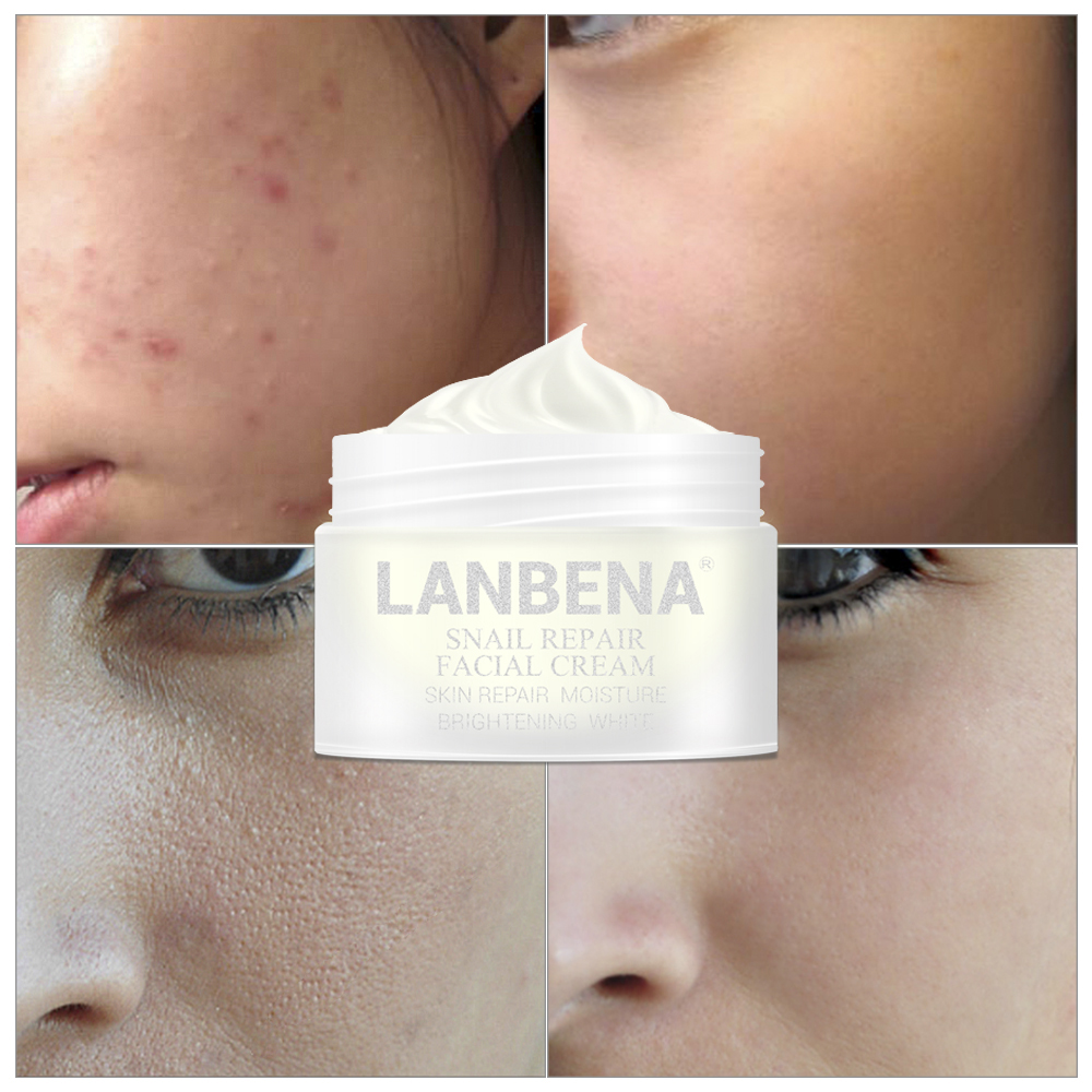 Snail Face Cream Anti-Aging Skincare Snail Face Cream Anti-Aging Skincare