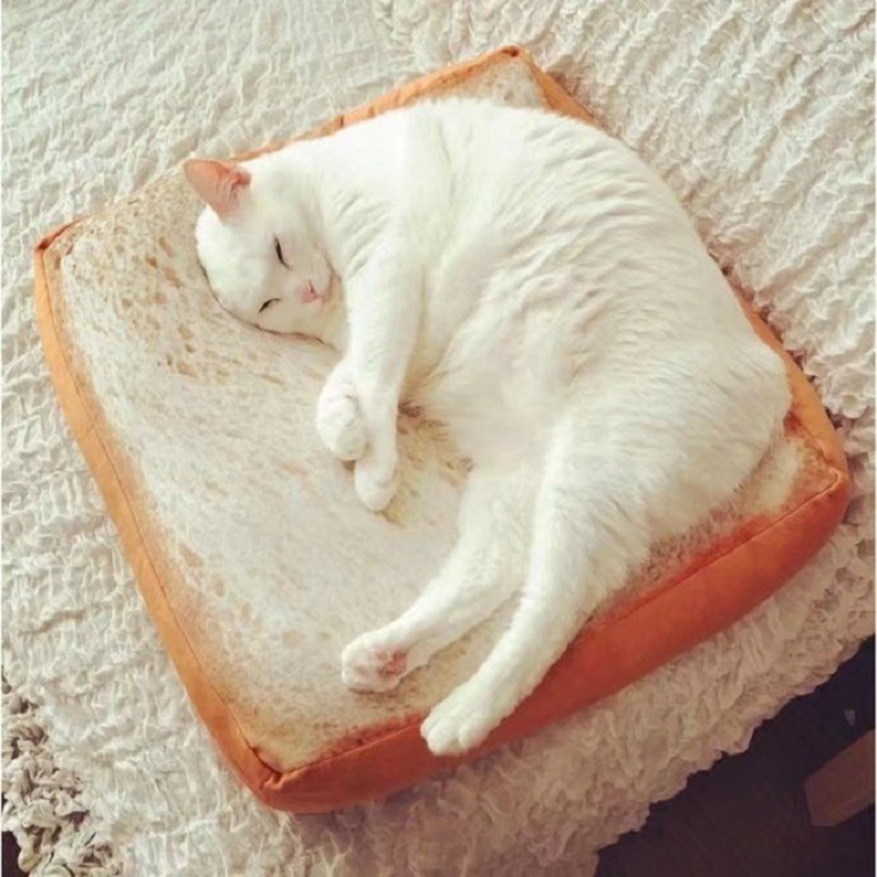 Soft and Bouncy Toast Cat Bed