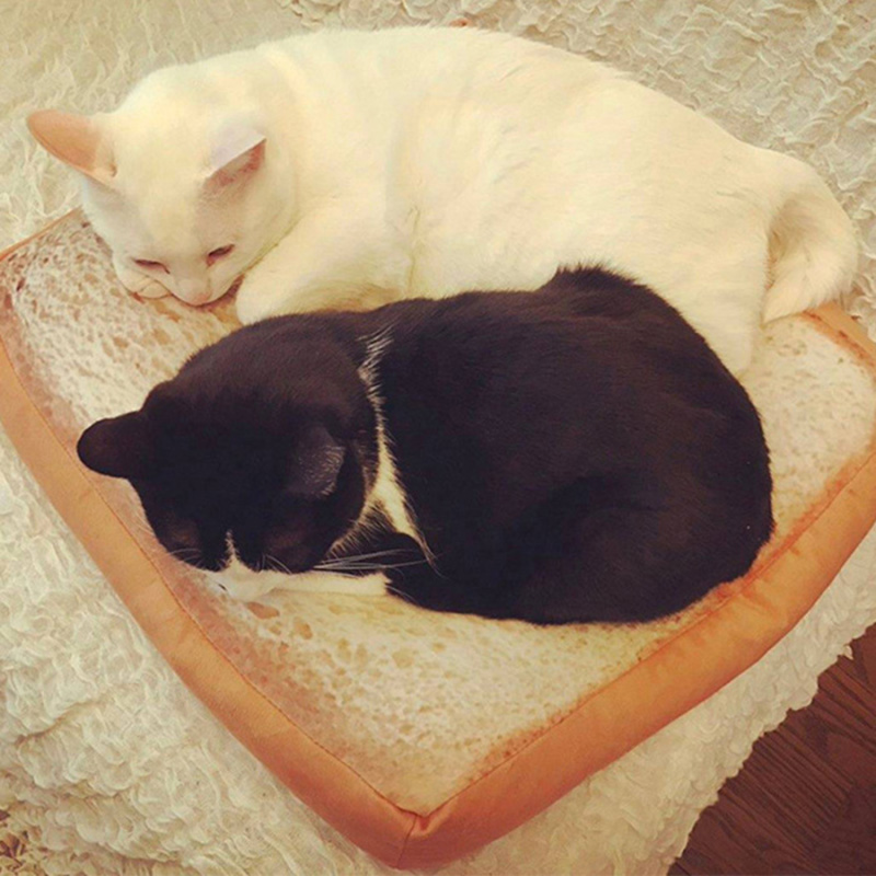 Soft and Bouncy Toast Cat Bed Soft and Bouncy Toast Cat Bed