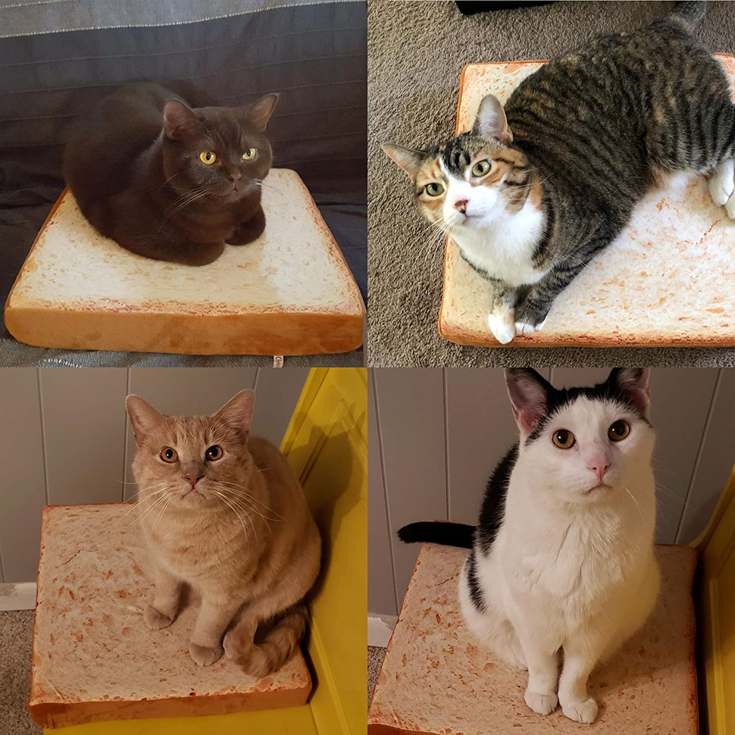 Soft and Bouncy Toast Cat Bed Soft and Bouncy Toast Cat Bed