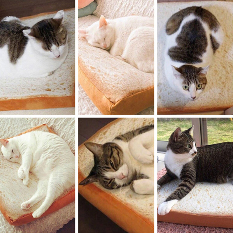 Soft and Bouncy Toast Cat Bed Soft and Bouncy Toast Cat Bed
