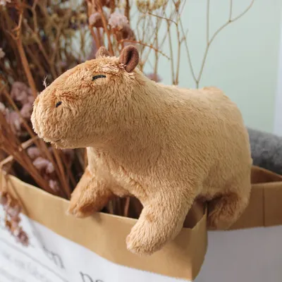 Soft Cotton Capybara Plush Toy Soft Cotton Capybara Plush Toy