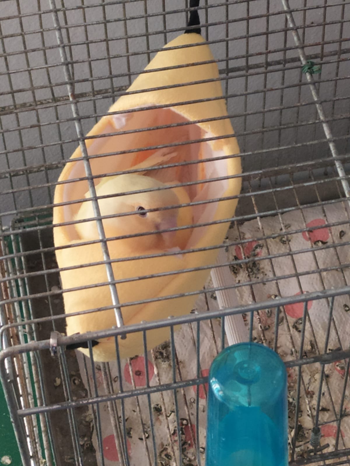 Soft Cotton Small Animal Hammock