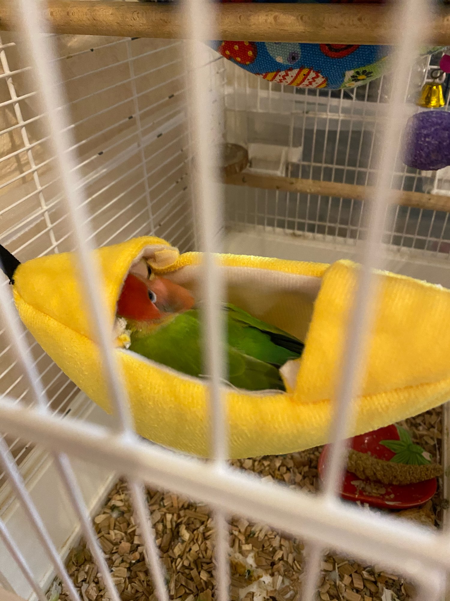 Soft Cotton Small Animal Hammock