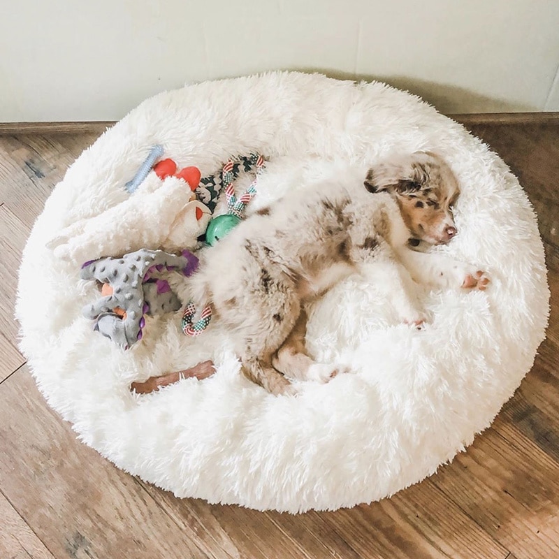 Soft Dog Floor Cushion Bed Soft Dog Floor Cushion Bed