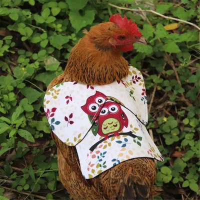 Soft Quilted Chicken Saddle with Straps