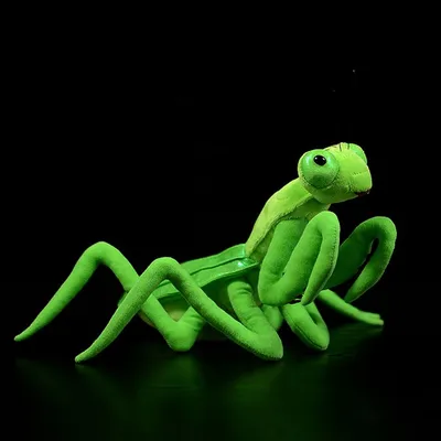 Soft Stuffed Animal Praying Mantis Toy Soft Stuffed Animal Praying Mantis Toy