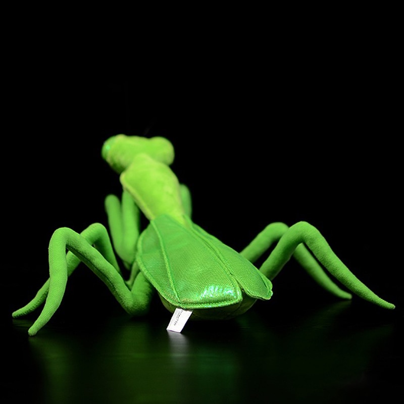 Soft Stuffed Animal Praying Mantis Toy Soft Stuffed Animal Praying Mantis Toy