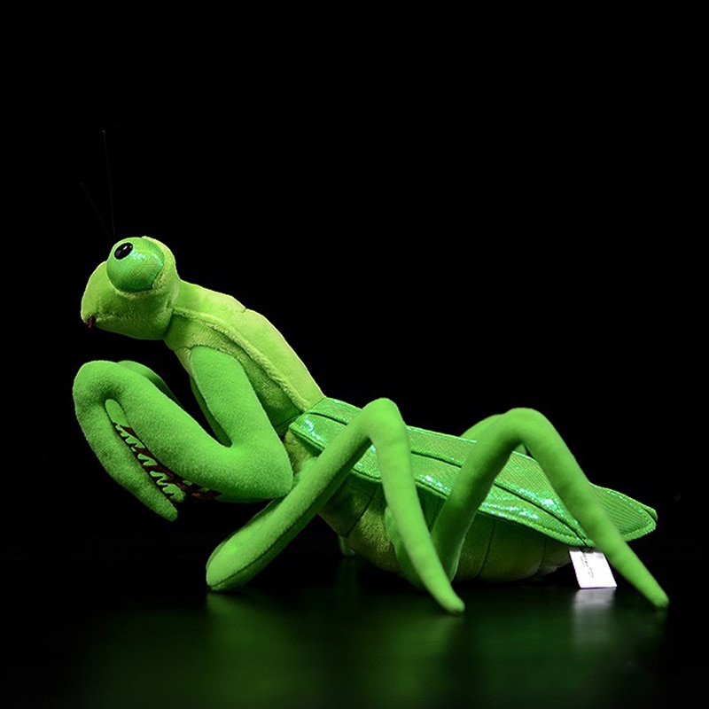 Soft Stuffed Animal Praying Mantis Toy Soft Stuffed Animal Praying Mantis Toy