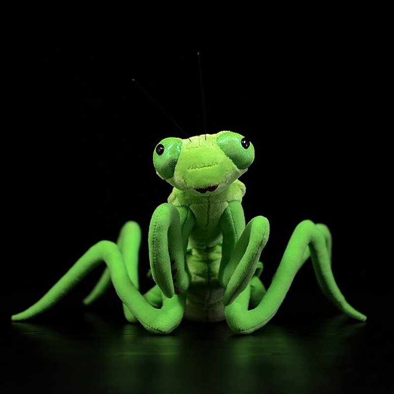 Soft Stuffed Animal Praying Mantis Toy Soft Stuffed Animal Praying Mantis Toy