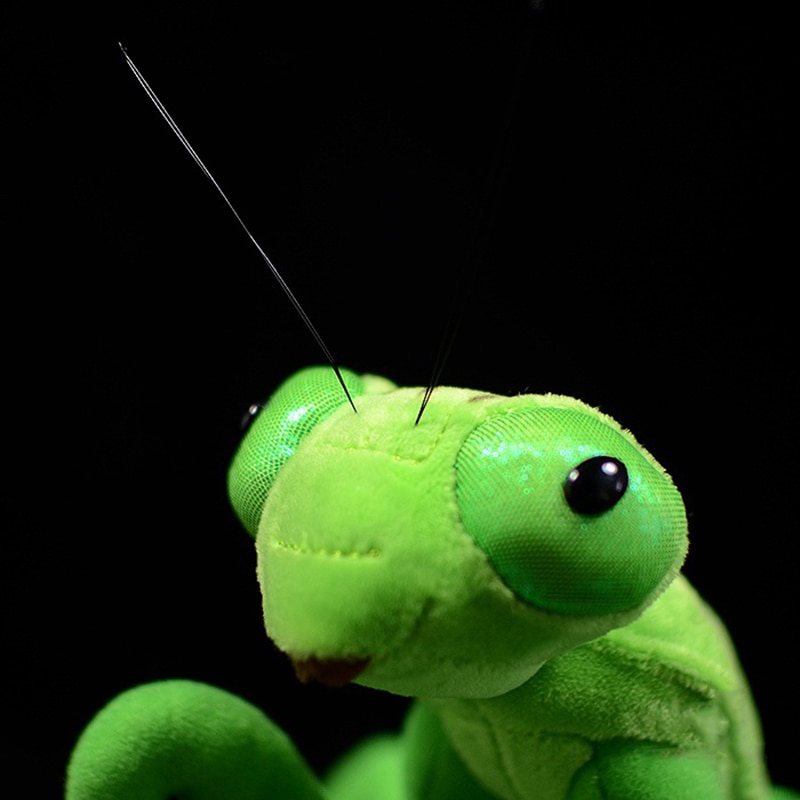 Soft Stuffed Animal Praying Mantis Toy Soft Stuffed Animal Praying Mantis Toy