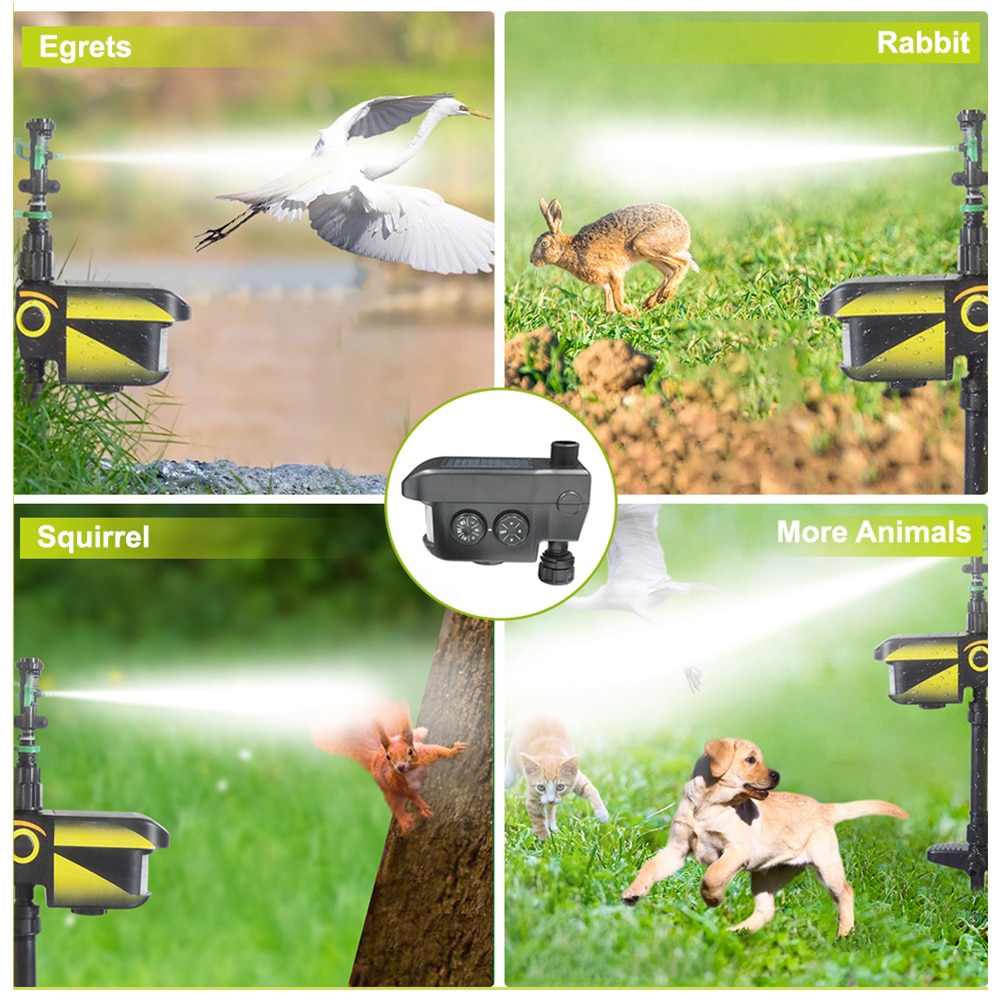 Solar Animal Repeller Water Blaster Solar Animal Repeller Water Blaster