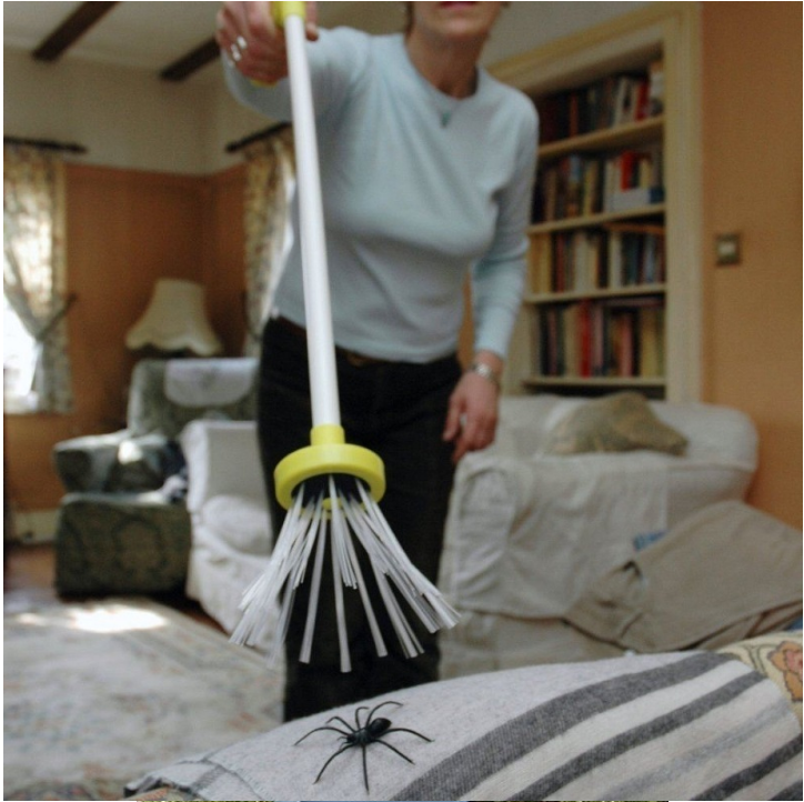 Spider Grabber Insect Catcher Spider Grabber Insect Catcher