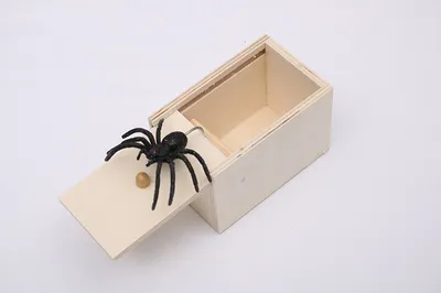 Spider In Box Prank Toy Spider In Box Prank Toy