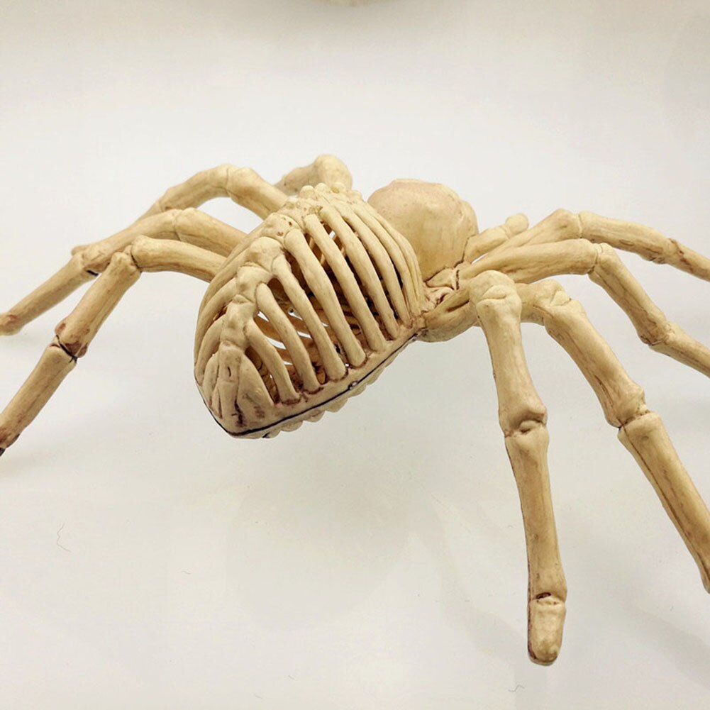 Spider Skeleton Scary Decor Spider Skeleton Scary Decor