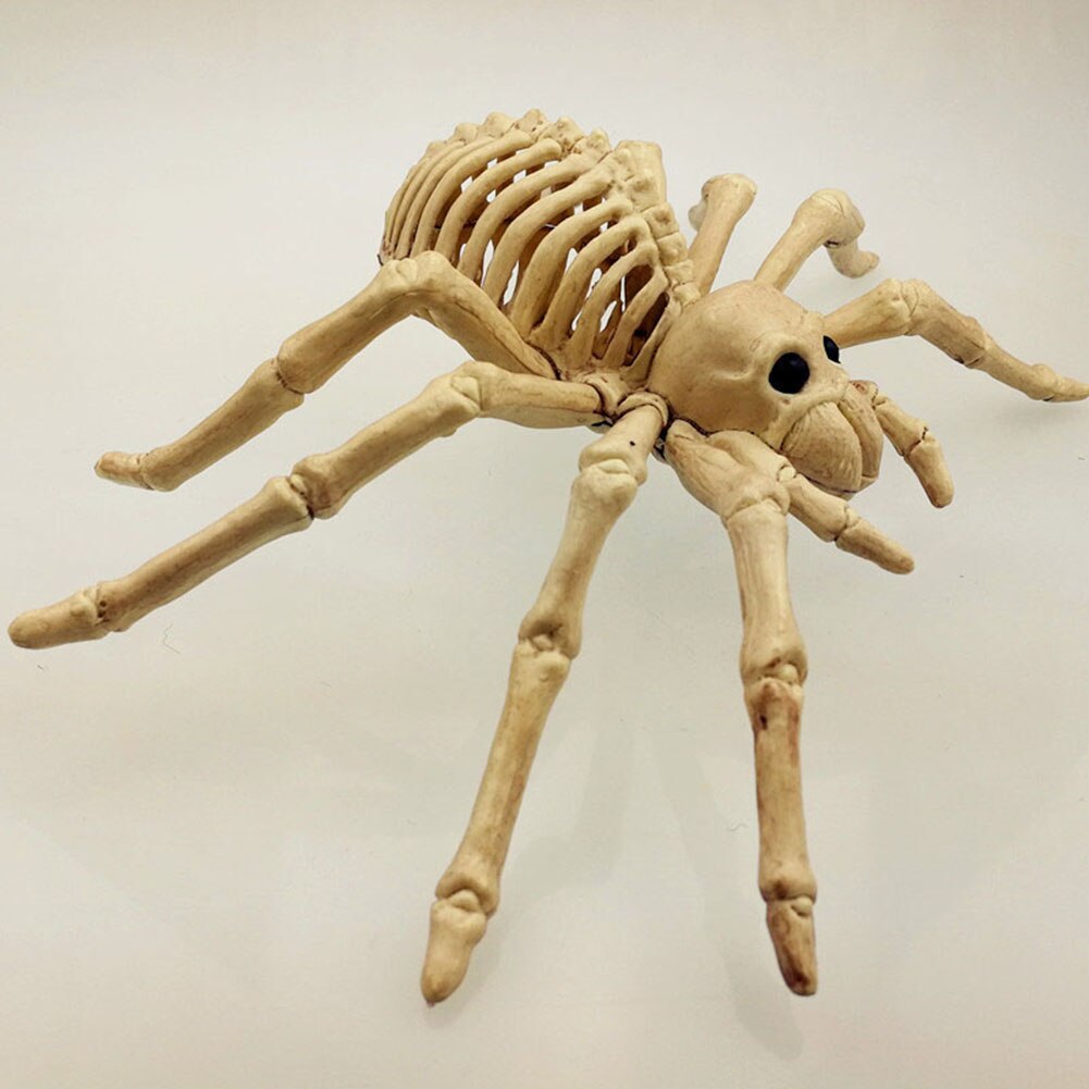 Spider Skeleton Scary Decor Spider Skeleton Scary Decor