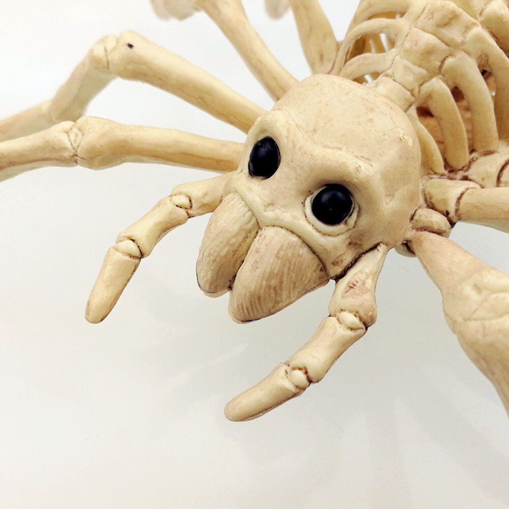 Spider Skeleton Scary Decor Spider Skeleton Scary Decor