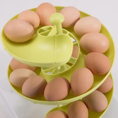Spiral Egg Holder Kitchen Storage Spiral Egg Holder Kitchen Storage