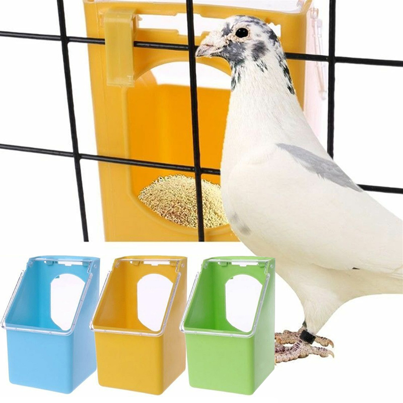 Splash Proof Pigeon Bird Feeder