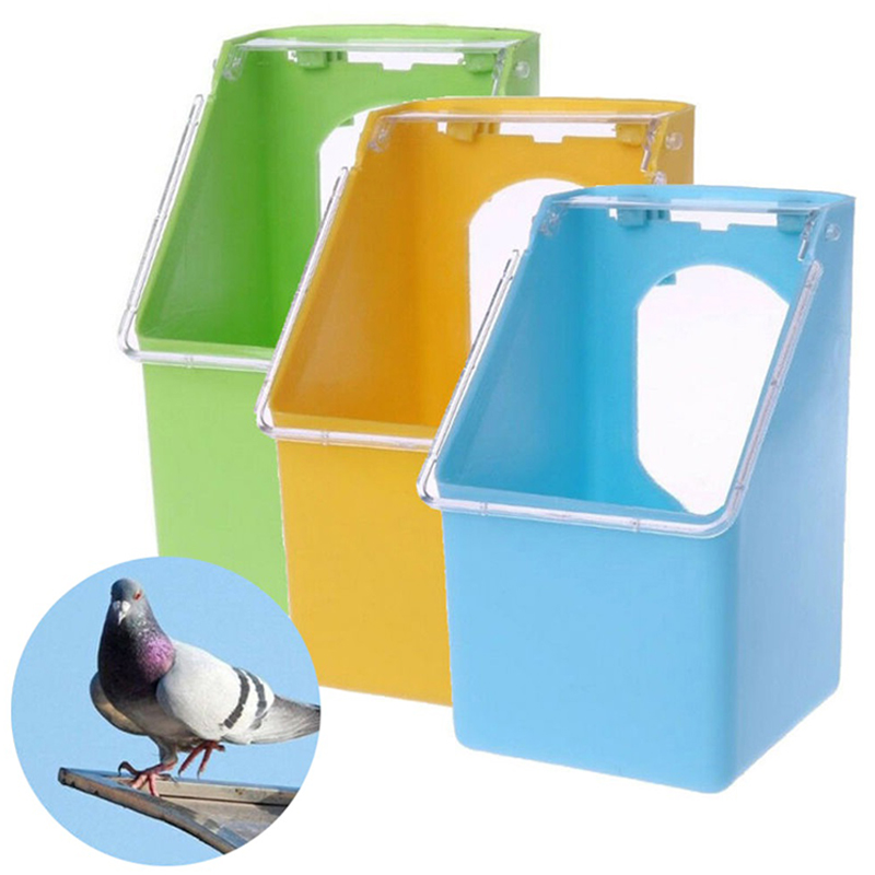 Splash Proof Pigeon Bird Feeder