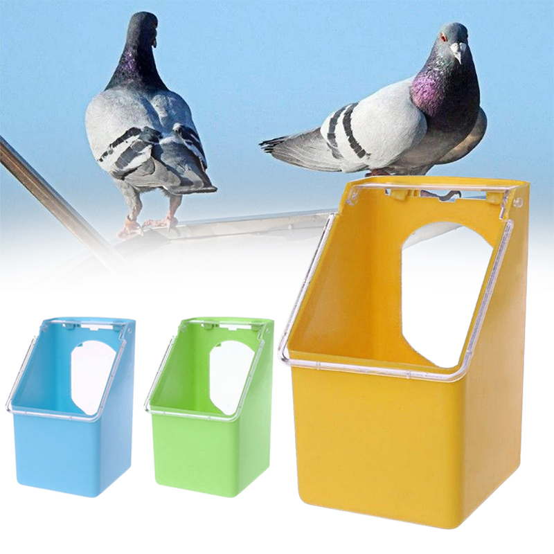 Splash Proof Pigeon Bird Feeder