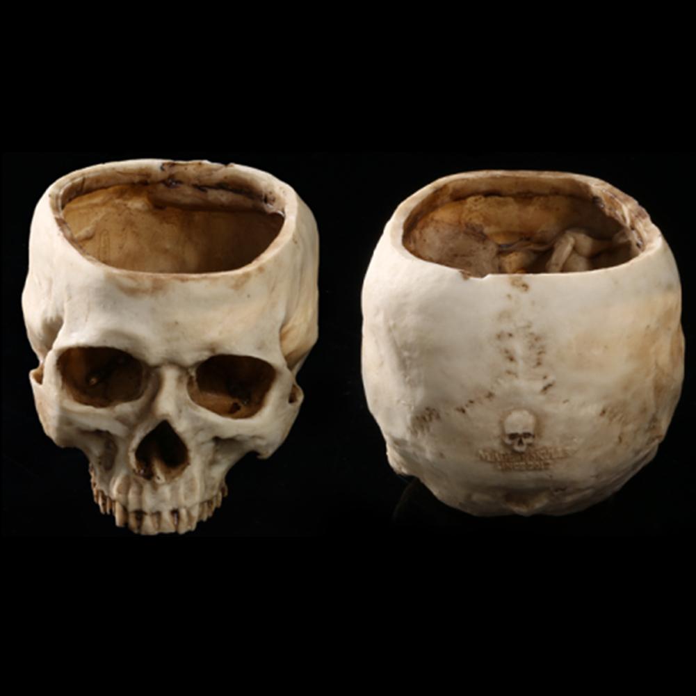 Spooky Human Skull Planter Spooky Human Skull Planter