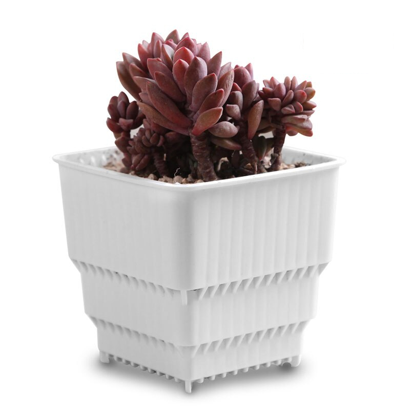 Square Plant Pots Succulent Pots (6Pcs) Square Plant Pots Succulent Pots (6Pcs)