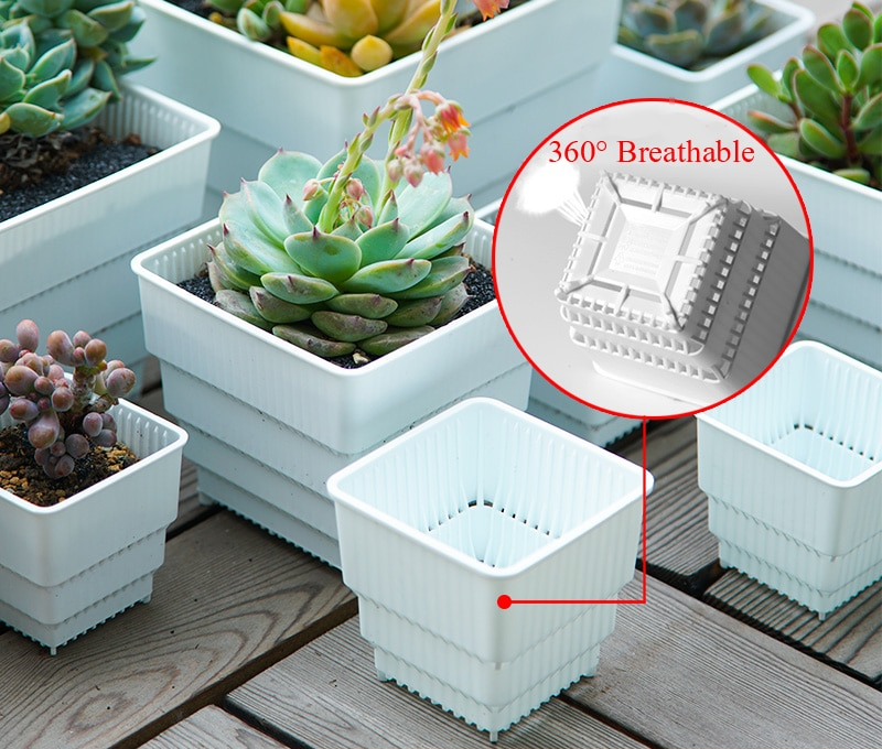 Square Plant Pots Succulent Pots (6Pcs) Square Plant Pots Succulent Pots (6Pcs)