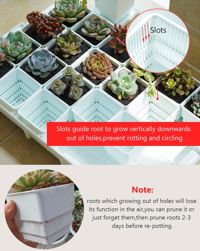 Square Plant Pots Succulent Pots (6Pcs) Square Plant Pots Succulent Pots (6Pcs)