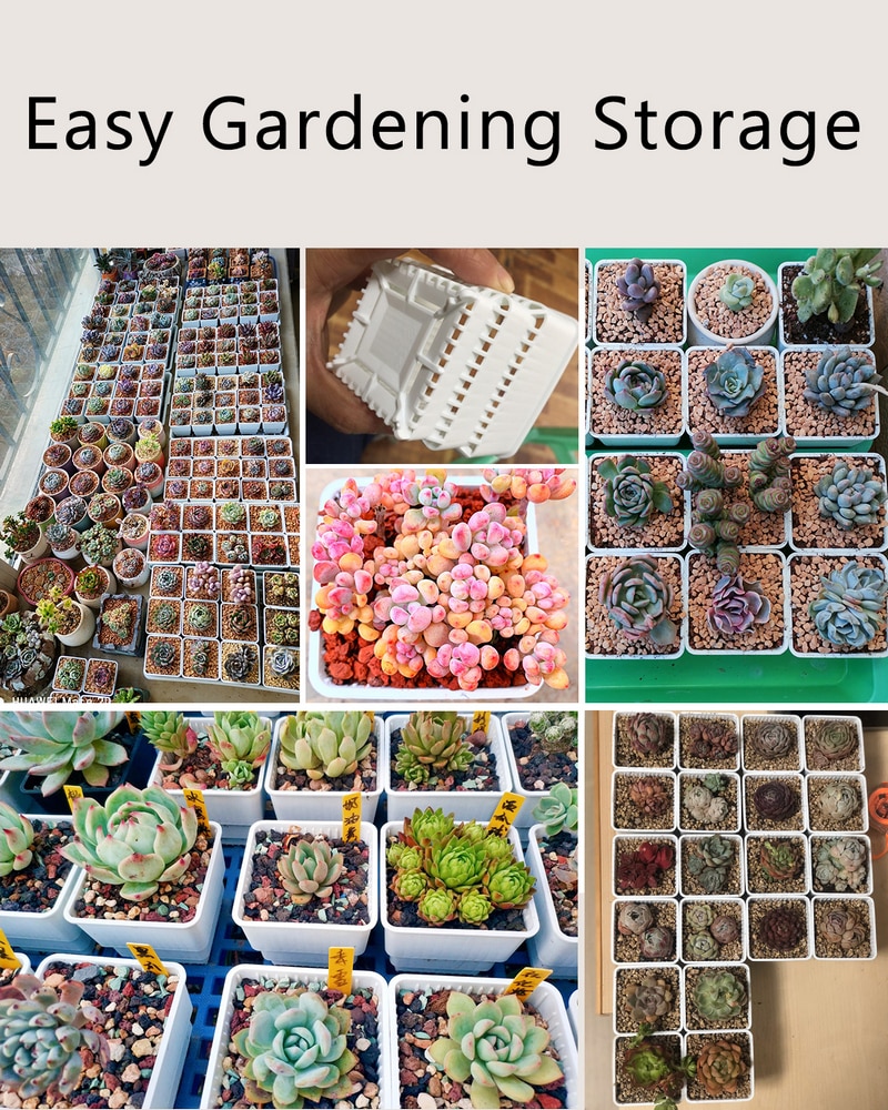 Square Plant Pots Succulent Pots (6Pcs) Square Plant Pots Succulent Pots (6Pcs)