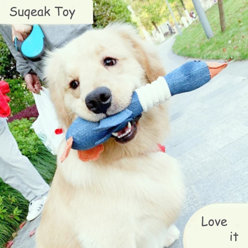 Squeaky Stuffed Animal Dog Duck Toy Squeaky Stuffed Animal Dog Duck Toy