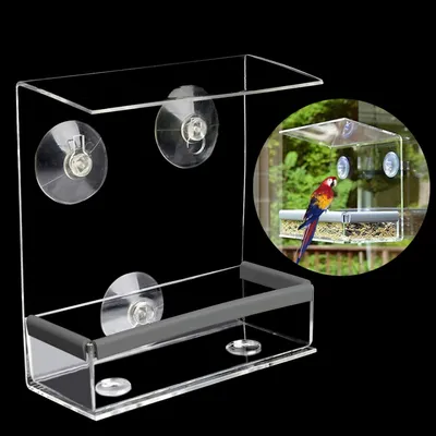 Squirrel Proof Bird Feeder Squirrel Proof Bird Feeder