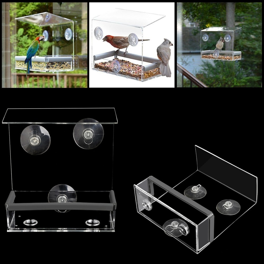 Squirrel Proof Bird Feeder Squirrel Proof Bird Feeder