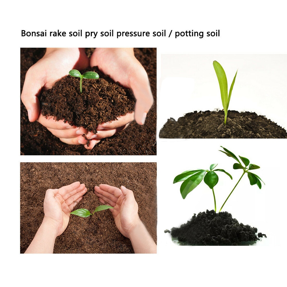 Stainless 2 in 1 Bonsai Root Rake Stainless 2 in 1 Bonsai Root Rake